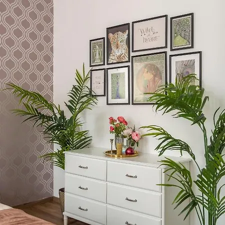 Daire Explore From A Luxurious Cozy