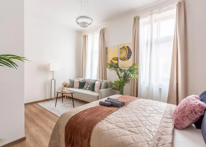 Explore From A Luxurious Cozy